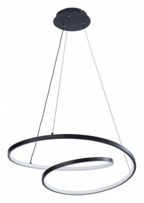 Подвесной светильник Arte Lamp Millo A3893SP-30BK в Качканаре - kachkanar.ok-mebel.com | фото 2