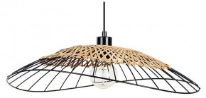 Подвесной светильник Arte Lamp Woodstock A7061SP-1BK в Качканаре - kachkanar.ok-mebel.com | фото