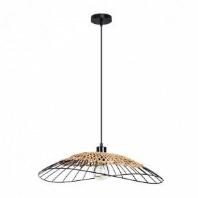 Подвесной светильник Arte Lamp Woodstock A7061SP-1BK в Качканаре - kachkanar.ok-mebel.com | фото 2