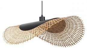 Подвесной светильник Arte Lamp Woodstock A7063SP-1BK в Качканаре - kachkanar.ok-mebel.com | фото