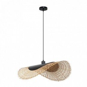 Подвесной светильник Arte Lamp Woodstock A7063SP-1BK в Качканаре - kachkanar.ok-mebel.com | фото 2