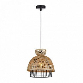 Подвесной светильник Arte Lamp Woodstock A7070SP-1BK в Качканаре - kachkanar.ok-mebel.com | фото