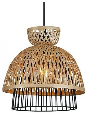 Подвесной светильник Arte Lamp Woodstock A7070SP-1BK в Качканаре - kachkanar.ok-mebel.com | фото 2