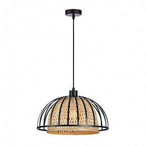 Подвесной светильник Arte Lamp Woodstock A7071SP-1BK в Качканаре - kachkanar.ok-mebel.com | фото