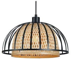 Подвесной светильник Arte Lamp Woodstock A7071SP-1BK в Качканаре - kachkanar.ok-mebel.com | фото 2