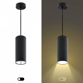 Подвесной светильник Эра  PL12 GX53 BK/SL в Качканаре - kachkanar.ok-mebel.com | фото 5