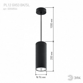 Подвесной светильник Эра  PL12 GX53 BK/SL в Качканаре - kachkanar.ok-mebel.com | фото 8