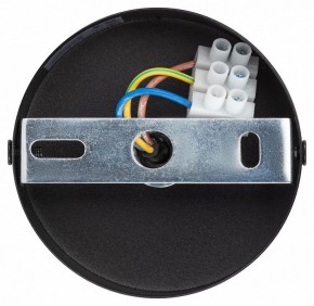 Подвесной светильник Эра  PL12 GX53 BK/SL в Качканаре - kachkanar.ok-mebel.com | фото 9