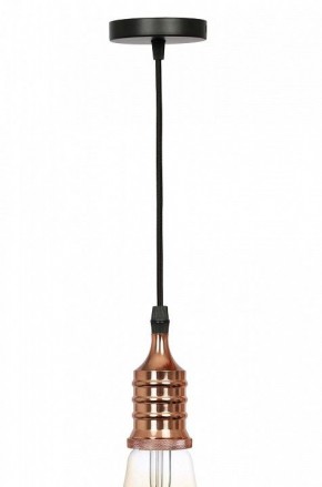 Подвесной светильник Эра PL13 Б0048525 в Качканаре - kachkanar.ok-mebel.com | фото 3