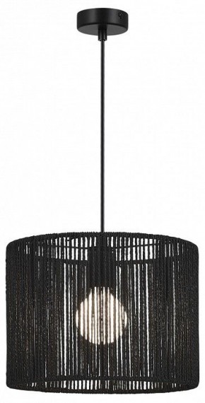 Подвесной светильник EVOLUCE ETTAN SLE6024-403-01 в Качканаре - kachkanar.ok-mebel.com | фото 2
