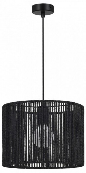 Подвесной светильник EVOLUCE ETTAN SLE6024-403-01 в Качканаре - kachkanar.ok-mebel.com | фото 4