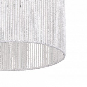 Подвесной светильник EVOLUCE ETTAN SLE6024-503-01 в Качканаре - kachkanar.ok-mebel.com | фото 8