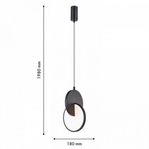 Подвесной светильник F-promo Grahan 4606-1P в Качканаре - kachkanar.ok-mebel.com | фото 5