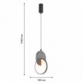 Подвесной светильник F-promo Grahan 4609-1P в Качканаре - kachkanar.ok-mebel.com | фото 4