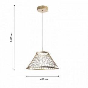 Подвесной светильник Favourite Fibra 4634-6P в Качканаре - kachkanar.ok-mebel.com | фото 4