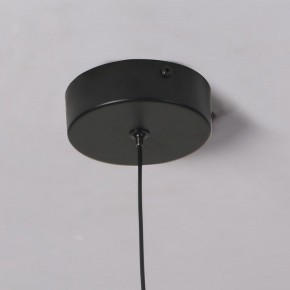 Подвесной светильник Favourite Wilet 4656-1P в Качканаре - kachkanar.ok-mebel.com | фото 10