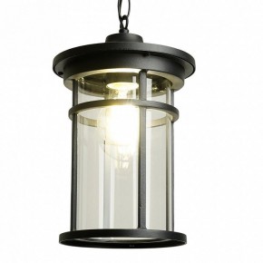 Подвесной светильник Feron PL765 51819 в Качканаре - kachkanar.ok-mebel.com | фото 3