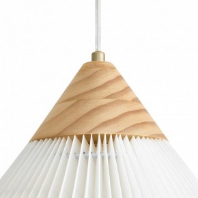 Подвесной светильник Freya Kinsley FR5533PL-01BS в Качканаре - kachkanar.ok-mebel.com | фото 8