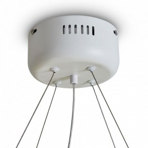 Подвесной светильник Freya Rain FR5546PL-L60W в Качканаре - kachkanar.ok-mebel.com | фото 9