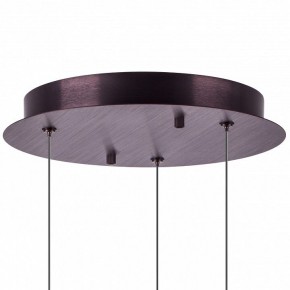 Подвесной светильник Lightstar Caramello 796139 в Качканаре - kachkanar.ok-mebel.com | фото 13