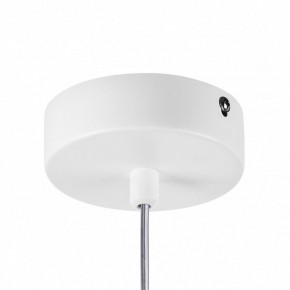 Подвесной светильник Lightstar Rocco 793136 в Качканаре - kachkanar.ok-mebel.com | фото 10