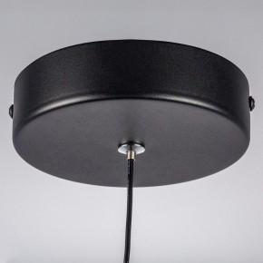 Подвесной светильник Lightstar Saturno 749017 в Качканаре - kachkanar.ok-mebel.com | фото 12