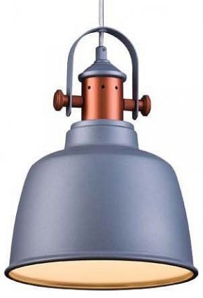 Подвесной светильник Lucia Tucci Industrial INDUSTRIAL 1820.1 SAND SILVER в Качканаре - kachkanar.ok-mebel.com | фото