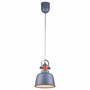 Подвесной светильник Lucia Tucci Industrial INDUSTRIAL 1820.1 SAND SILVER в Качканаре - kachkanar.ok-mebel.com | фото 2