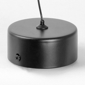 Подвесной светильник Lussole Blount LSP-7356 в Качканаре - kachkanar.ok-mebel.com | фото 6