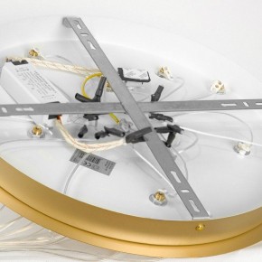 Подвесной светильник Lussole Hopkins LSP-7404 в Качканаре - kachkanar.ok-mebel.com | фото 4