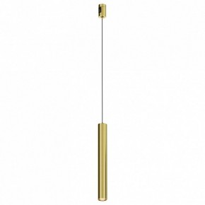 Подвесной светильник Maytoni Focus Led TR155-1-5W3K-BS в Качканаре - kachkanar.ok-mebel.com | фото