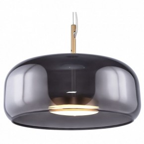 Подвесной светильник Maytoni Madmen MOD127PL-L6SG в Качканаре - kachkanar.ok-mebel.com | фото