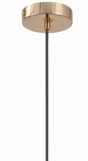 Подвесной светильник Moderli Charm V11176-1P в Качканаре - kachkanar.ok-mebel.com | фото 8