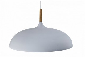 Подвесной светильник Moderli Hygo V11447-1P в Качканаре - kachkanar.ok-mebel.com | фото