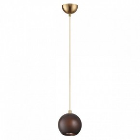 Подвесной светильник Odeon Light Caucho 7062/1 в Качканаре - kachkanar.ok-mebel.com | фото 4