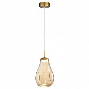 Подвесной светильник Odeon Light Nave 5098/4L в Качканаре - kachkanar.ok-mebel.com | фото 2