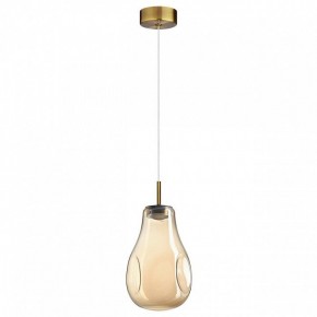 Подвесной светильник Odeon Light Nave 5098/4L в Качканаре - kachkanar.ok-mebel.com | фото 4