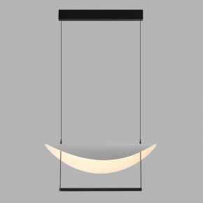 Подвесной светильник Odeon Light Next 7015/20L в Качканаре - kachkanar.ok-mebel.com | фото 4