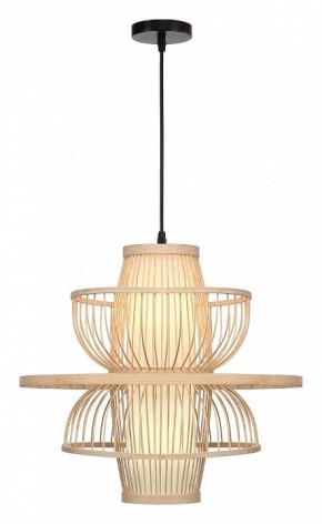 Подвесной светильник ST-Luce ALMA SL6241.513.01 в Качканаре - kachkanar.ok-mebel.com | фото 2