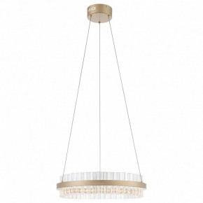 Подвесной светильник ST-Luce Cherio SL383.203.01 в Качканаре - kachkanar.ok-mebel.com | фото 3