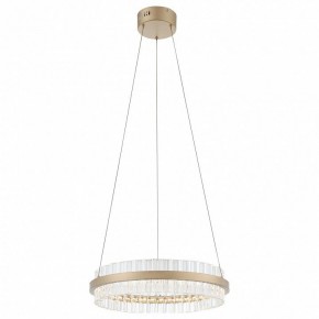 Подвесной светильник ST-Luce Cherio SL383.203.01 в Качканаре - kachkanar.ok-mebel.com | фото 4