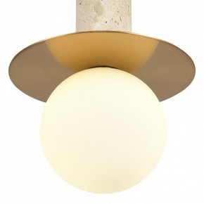 Подвесной светильник ST-Luce Earthy SL1194.303.01 в Качканаре - kachkanar.ok-mebel.com | фото 5