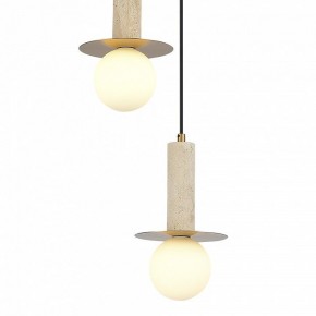 Подвесной светильник ST-Luce Earthy SL1194.303.03 в Качканаре - kachkanar.ok-mebel.com | фото 4