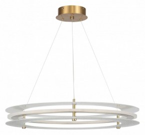 Подвесной светильник ST-Luce FAGY SL6245.203.01 в Качканаре - kachkanar.ok-mebel.com | фото 3