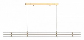Подвесной светильник ST-Luce FAGY SL6245.223.01 в Качканаре - kachkanar.ok-mebel.com | фото 3