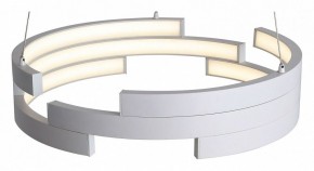 Подвесной светильник ST-Luce Genuine SL963.503.01 в Качканаре - kachkanar.ok-mebel.com | фото