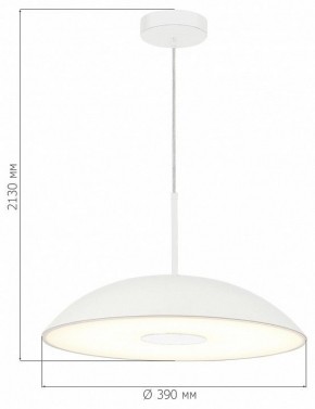 Подвесной светильник ST-Luce Lido SL6128.503.01 в Качканаре - kachkanar.ok-mebel.com | фото 4