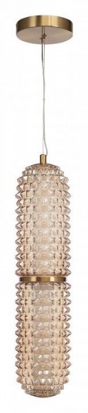 Подвесной светильник ST-Luce SAGUARO SL6144.303.01 в Качканаре - kachkanar.ok-mebel.com | фото 3