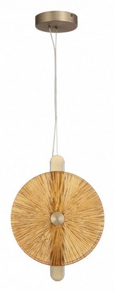 Подвесной светильник ST-Luce WASI SL6141.313.01 в Качканаре - kachkanar.ok-mebel.com | фото 3