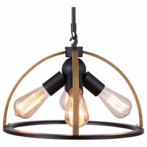 Подвесной светильник TopLight Jasmin TL1179H-04BK в Качканаре - kachkanar.ok-mebel.com | фото